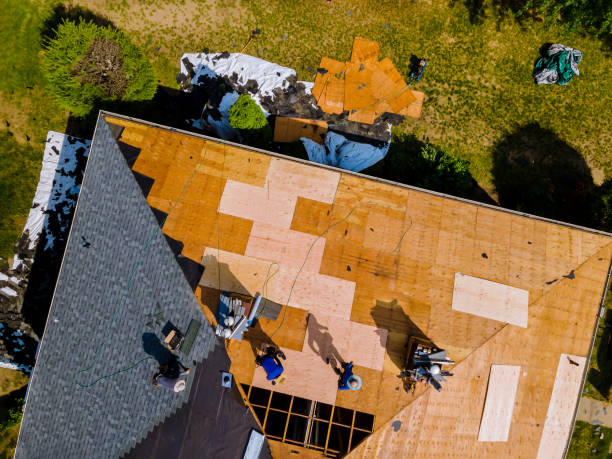 Best Commercial Roofing Services  in Cane Savannah, SC